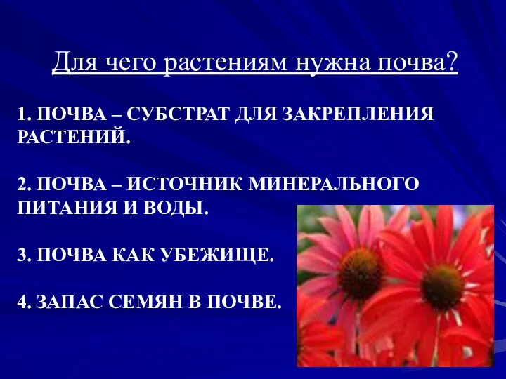 1. ПОЧВА – СУБСТРАТ ДЛЯ ЗАКРЕПЛЕНИЯ РАСТЕНИЙ. 2. ПОЧВА – ИСТОЧНИК МИНЕРАЛЬНОГО