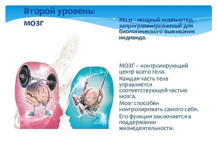 Второй уровень: мозг Мозг - мощный компьютер, запрограммированный для биологического выживания индивида.