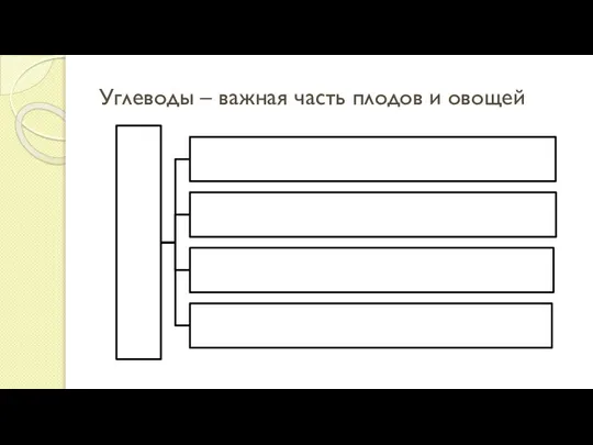 Углеводы – важная часть плодов и овощей