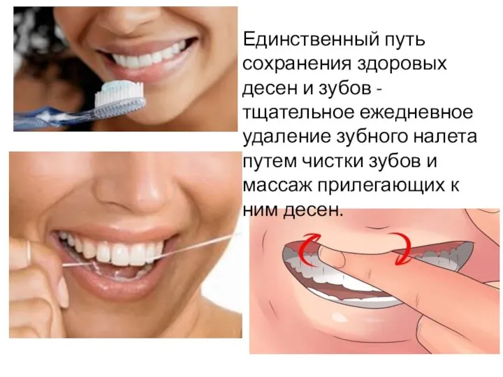 Единственный путь сохранения здоровых десен и зубов - тщательное ежедневное удаление зубного