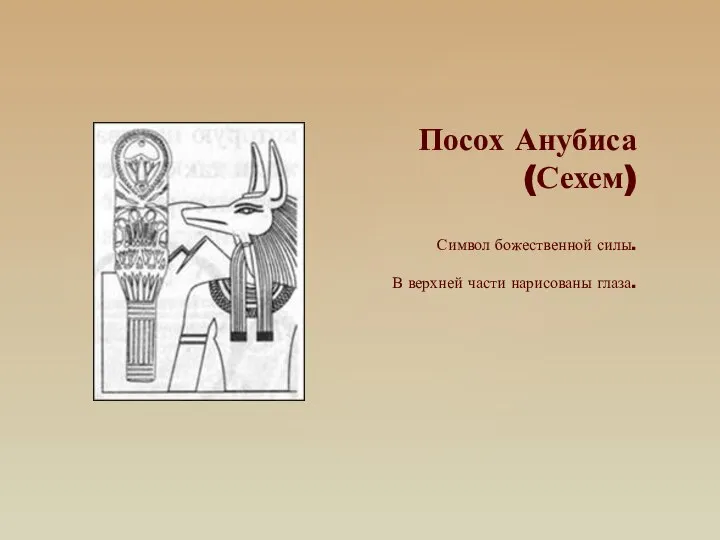 Посох Анубиса (Сехем) Символ божественной силы. В верхней части нарисованы глаза.