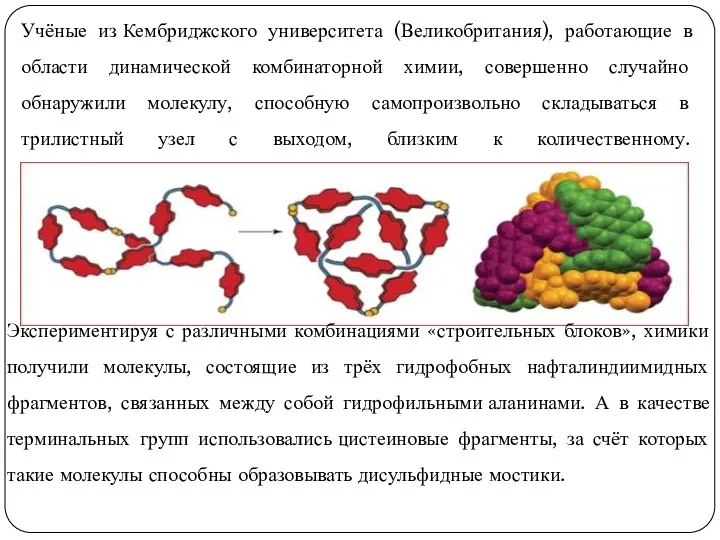 Учёные из Кембриджского университета (Великобритания), работающие в области динамической комбинаторной химии, совершенно