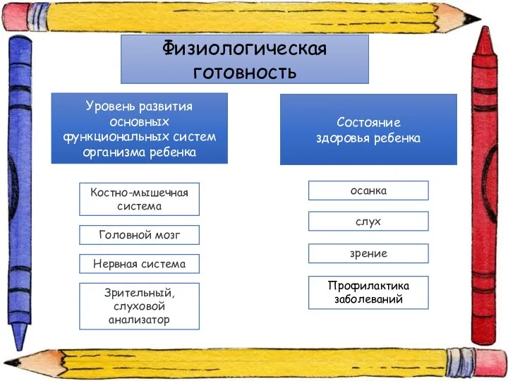 Физиологическая готовность Уровень развития основных функциональных систем организма ребенка Состояние здоровья ребенка