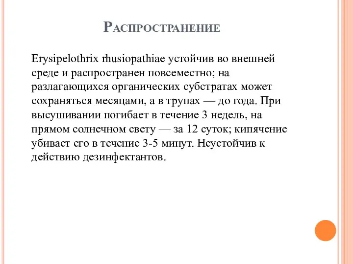 Распространение Erysipelothrix rhusiopathiae устойчив во внешней среде и распространен повсеместно; на разлагающихся