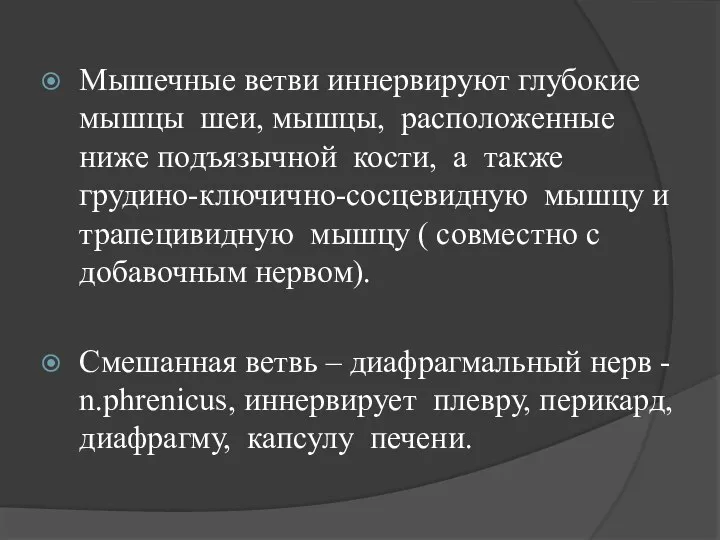 Мышечные ветви иннервируют глубокие мышцы шеи, мышцы, расположенные ниже подъязычной кости, а