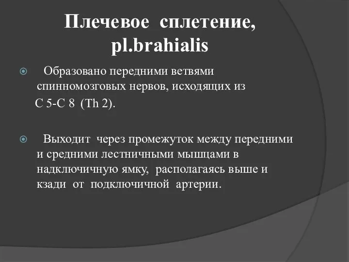 Плечевое сплетение, pl.brahialis Образовано передними ветвями спинномозговых нервов, исходящих из C 5-C