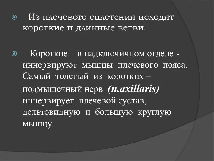 Из плечевого сплетения исходят короткие и длинные ветви. Короткие – в надключичном