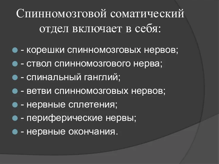 Спинномозговой соматический отдел включает в себя: - корешки спинномозговых нервов; - ствол