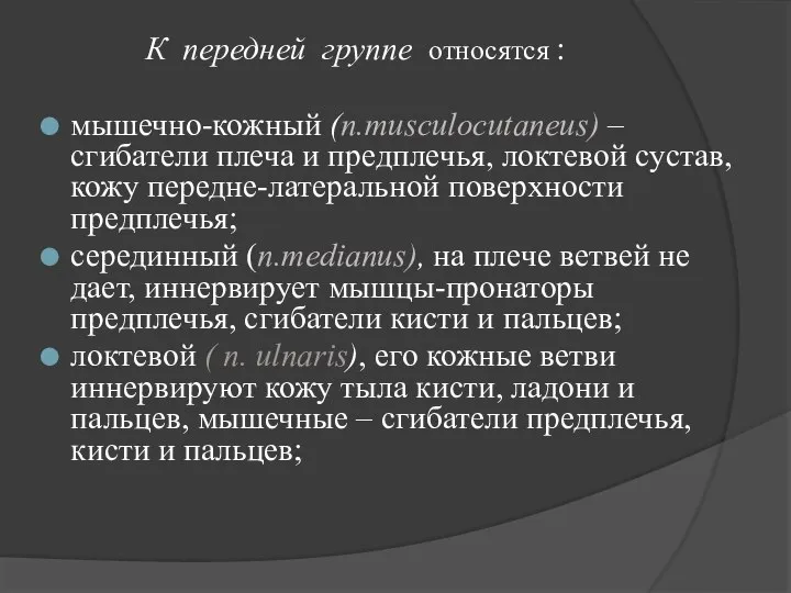 К передней группе относятся : мышечно-кожный (n.musculocutaneus) – сгибатели плеча и предплечья,