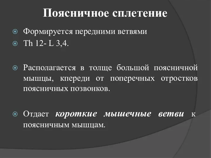 Поясничное сплетение Формируется передними ветвями Th 12- L 3,4. Располагается в толще