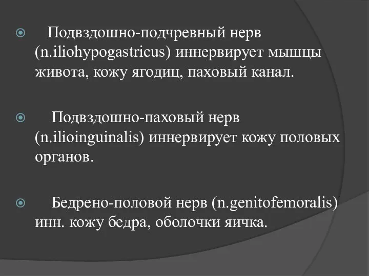 Подвздошно-подчревный нерв (n.iliohypogastricus) иннервирует мышцы живота, кожу ягодиц, паховый канал. Подвздошно-паховый нерв