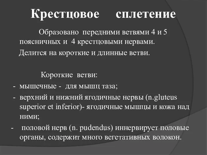 Крестцовое сплетение Образовано передними ветвями 4 и 5 поясничных и 4 крестцовыми