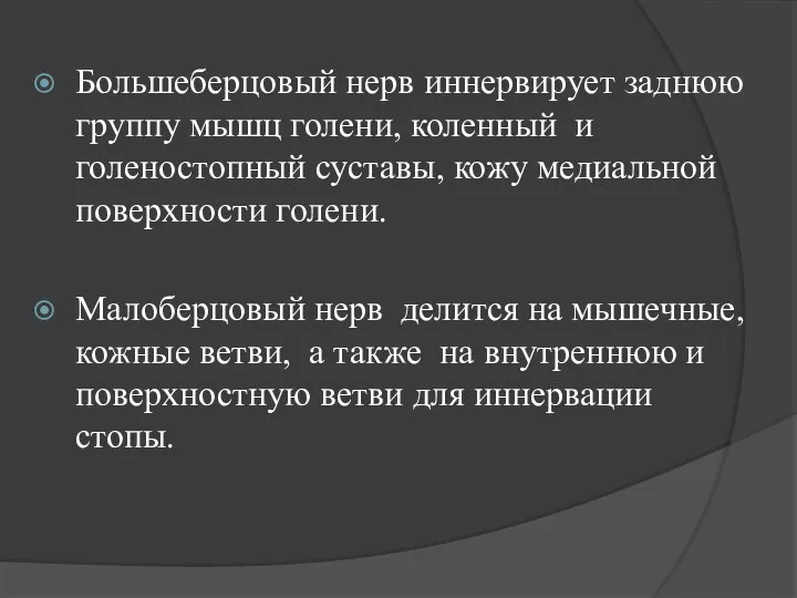 Большеберцовый нерв иннервирует заднюю группу мышц голени, коленный и голеностопный суставы, кожу