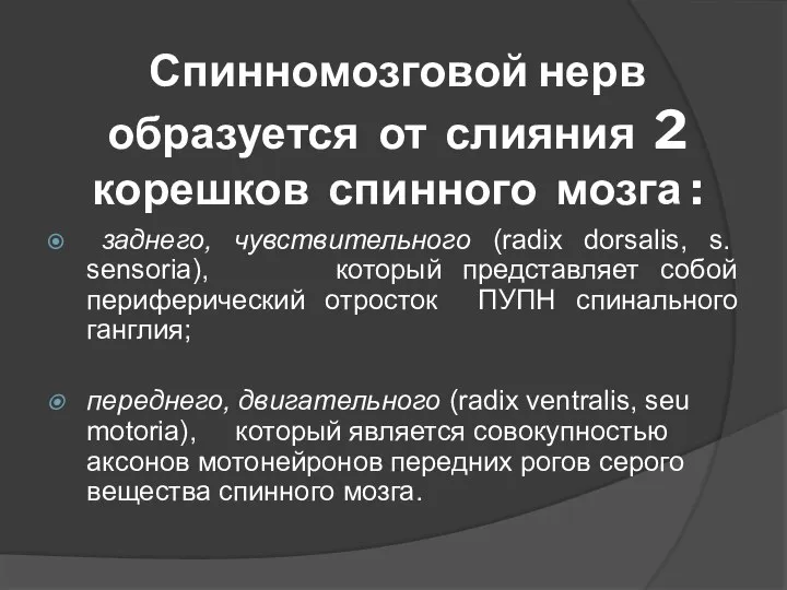 Спинномозговой нерв образуется от слияния 2 корешков спинного мозга : заднего, чувствительного