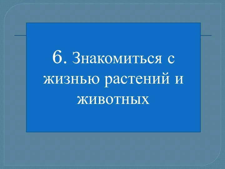 6. Знакомиться с жизнью растений и животных