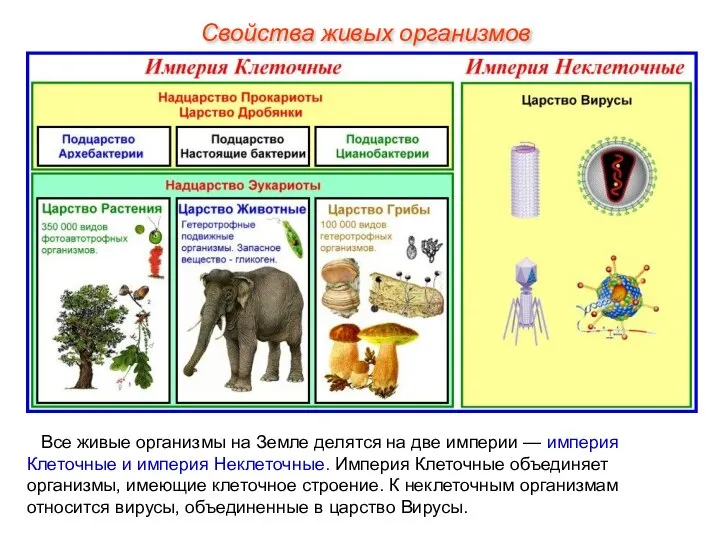 Все живые организмы на Земле делятся на две империи — империя Клеточные