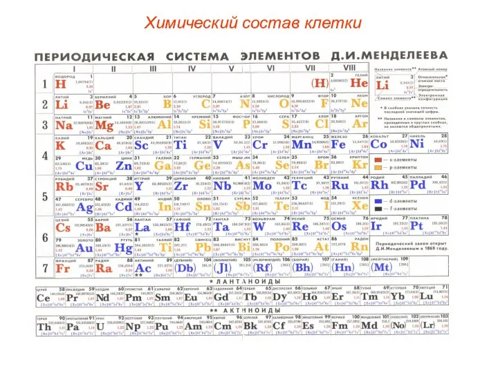 Химический состав клетки