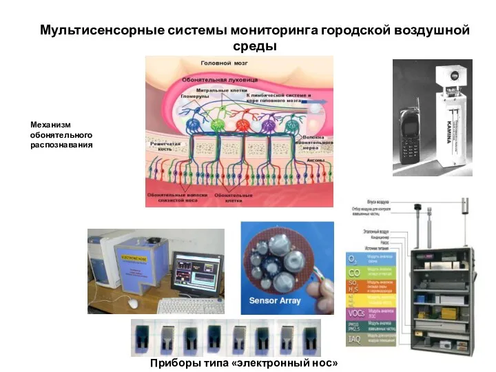 Механизм обонятельного распознавания Приборы типа «электронный нос» Мультисенсорные системы мониторинга городской воздушной среды