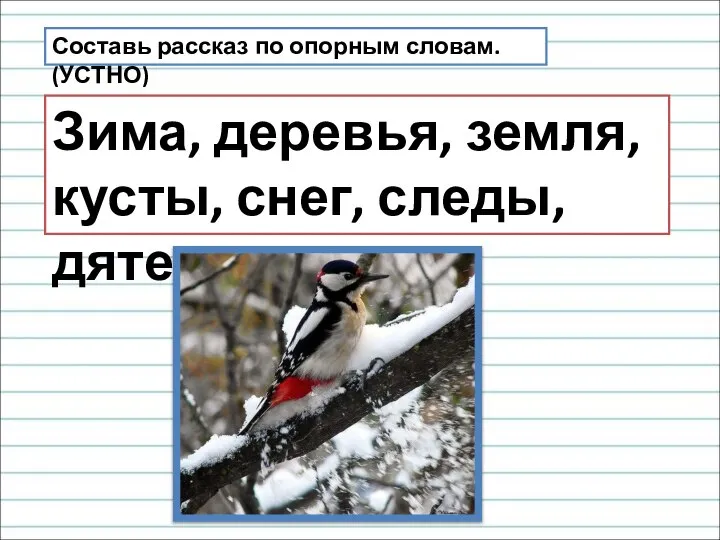 Составь рассказ по опорным словам. (УСТНО) Зима, деревья, земля, кусты, снег, следы, дятел.