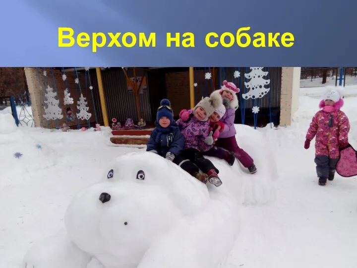 Верхом на собаке