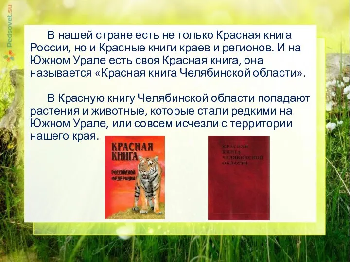 В нашей стране есть не только Красная книга России, но и Красные