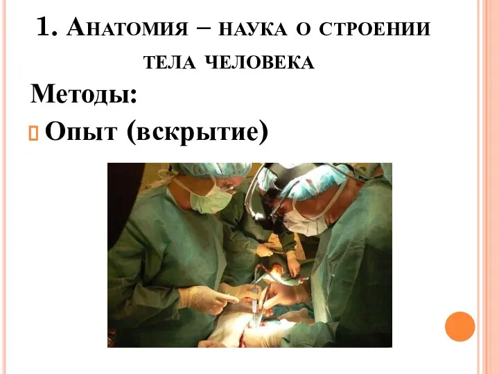 1. Анатомия – наука о строении тела человека Методы: Опыт (вскрытие)