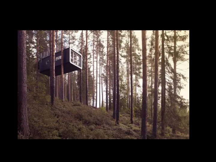 Местоположение:Харадс,Швеция. Treehotel 4-х звездный отель.