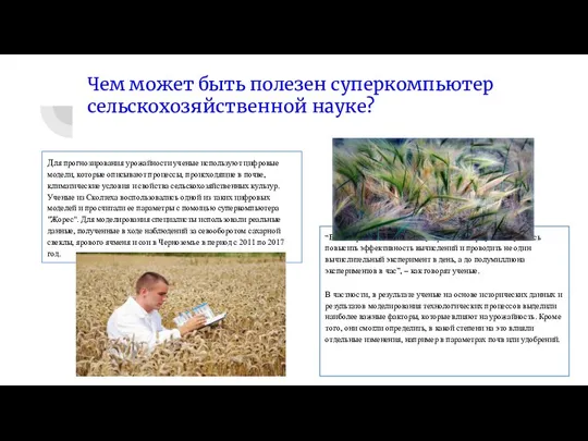 Чем может быть полезен суперкомпьютер сельскохозяйственной науке? Для прогнозирования урожайности ученые используют