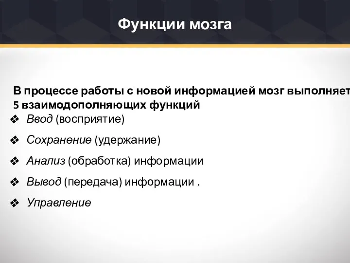 Функции мозга В процессе работы с новой информацией мозг выполняет 5 взаимодополняющих