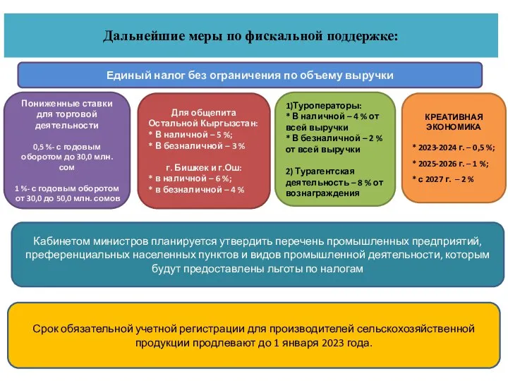 Дальнейшие меры по фискальной поддержке: Единый налог без ограничения по объему выручки