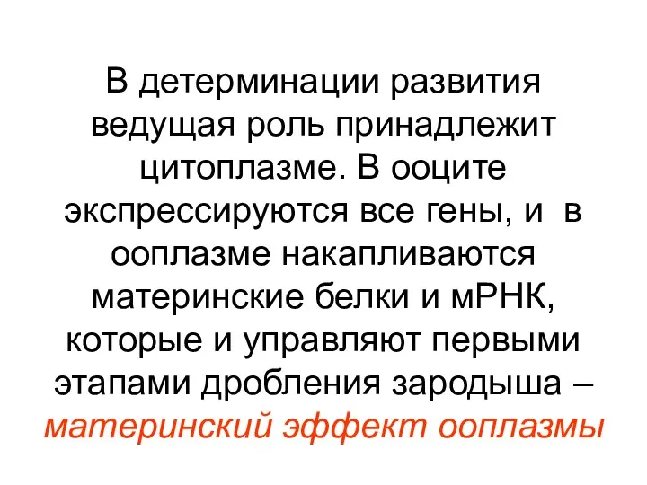 В детерминации развития ведущая роль принадлежит цитоплазме. В ооците экспрессируются все гены,