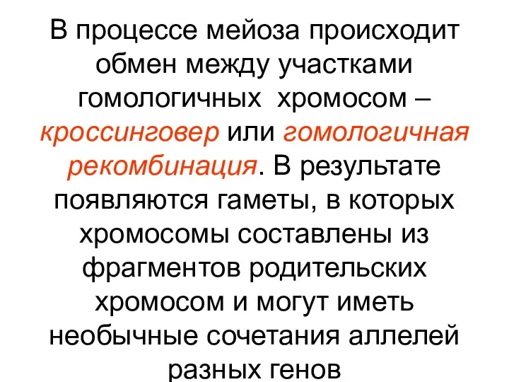 В процессе мейоза происходит обмен между участками гомологичных хромосом – кроссинговер или