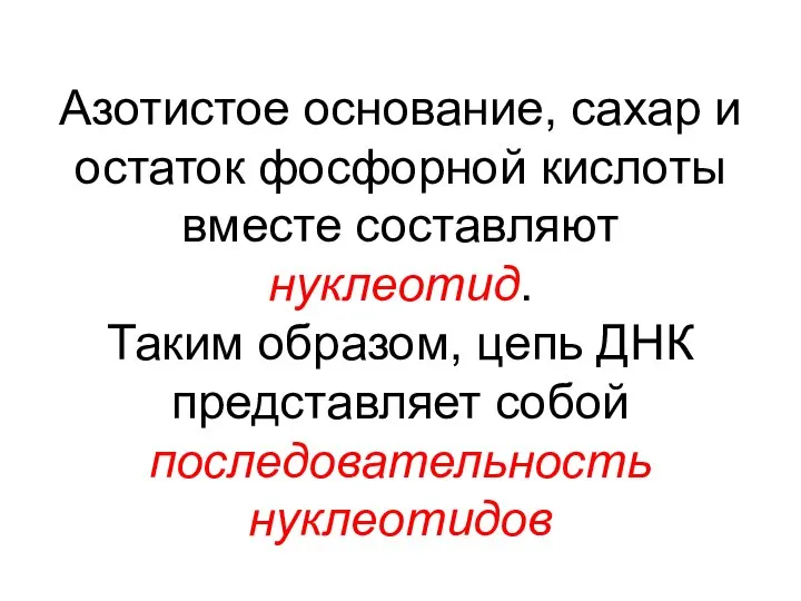 Азотистое основание, сахар и остаток фосфорной кислоты вместе составляют нуклеотид. Таким образом,