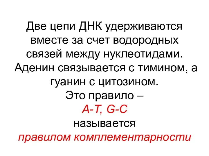 Две цепи ДНК удерживаются вместе за счет водородных связей между нуклеотидами. Аденин