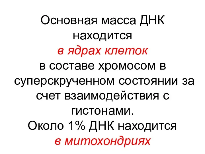 Основная масса ДНК находится в ядрах клеток в составе хромосом в суперскрученном