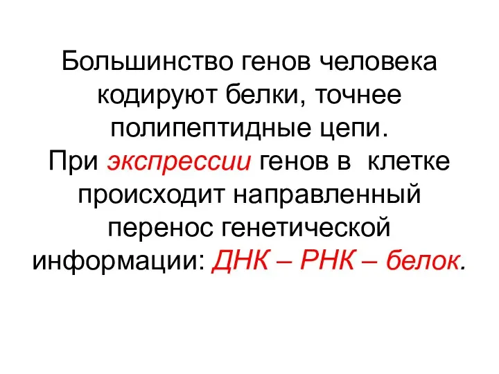 Большинство генов человека кодируют белки, точнее полипептидные цепи. При экспрессии генов в