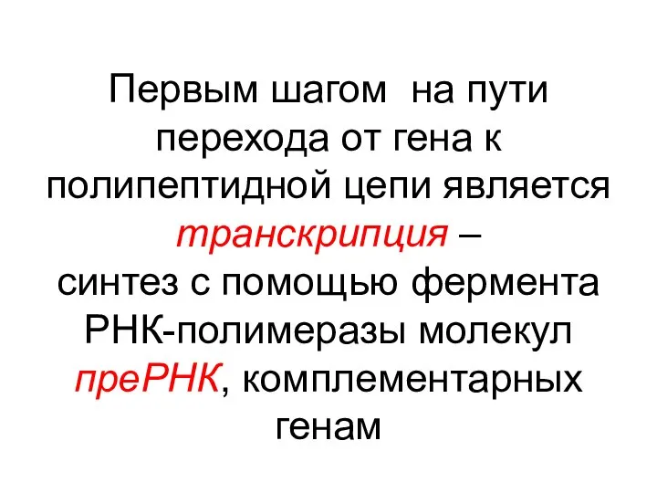 Первым шагом на пути перехода от гена к полипептидной цепи является транскрипция