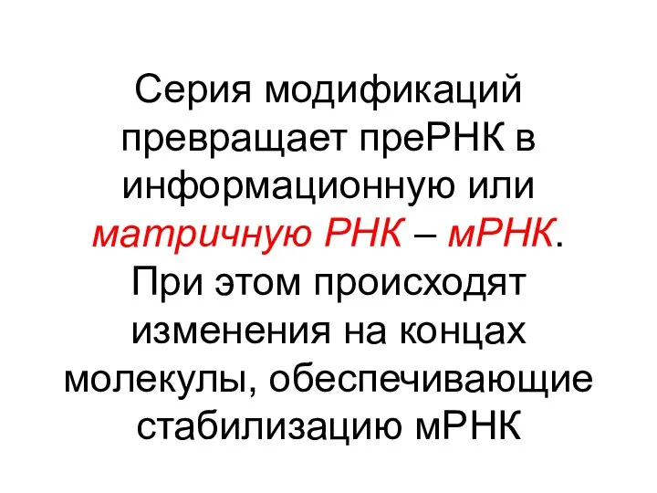 Серия модификаций превращает преРНК в информационную или матричную РНК – мРНК. При