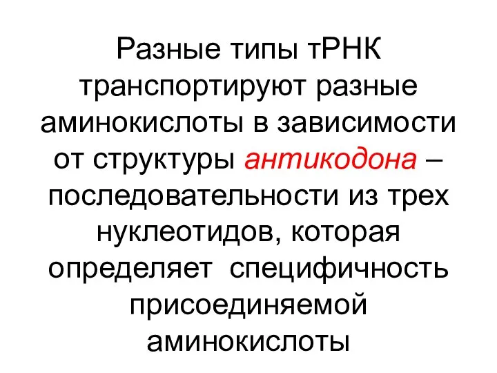 Разные типы тРНК транспортируют разные аминокислоты в зависимости от структуры антикодона –