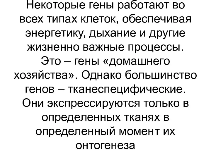 Некоторые гены работают во всех типах клеток, обеспечивая энергетику, дыхание и другие