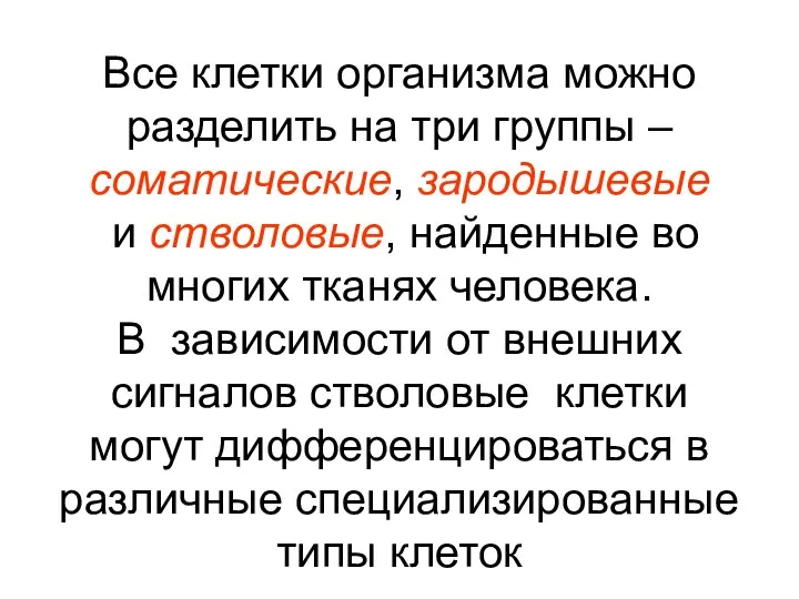 Все клетки организма можно разделить на три группы – соматические, зародышевые и