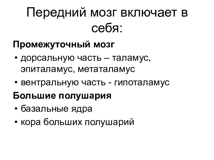 Передний мозг включает в себя: Промежуточный мозг дорсальную часть – таламус, эпиталамус,