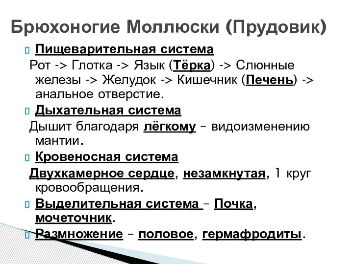 Пищеварительная система Рот -> Глотка -> Язык (Тёрка) -> Слюнные железы ->