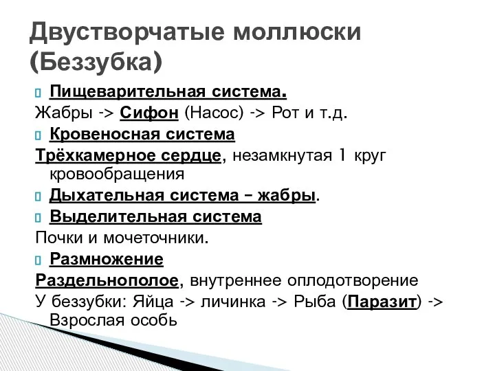 Пищеварительная система. Жабры -> Сифон (Насос) -> Рот и т.д. Кровеносная система