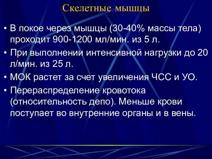 Скелетные мышцы В покое через мышцы (30-40% массы тела) проходит 900-1200 мл/мин.