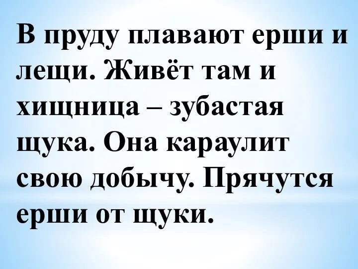 В пруду плавают ерши и лещи. Живёт там и хищница – зубастая