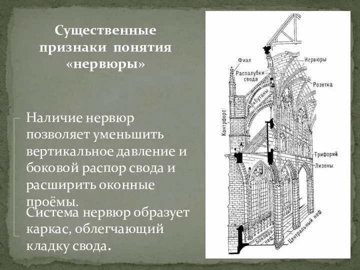 Существенные признаки понятия «нервюры» Наличие нервюр позволяет уменьшить вертикальное давление и боковой