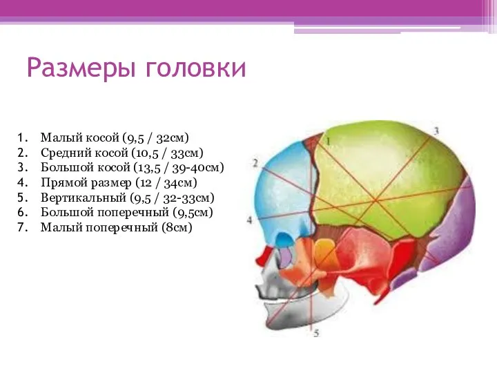 Размеры головки Малый косой (9,5 / 32см) Средний косой (10,5 / 33см)