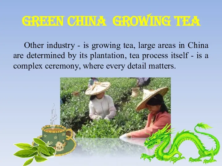 Green China Growing tea Other industry - is growing tea, large areas