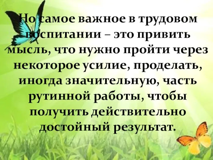 Но самое важное в трудовом воспитании – это привить мысль, что нужно